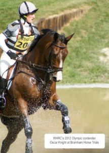 Willington Hall Riding Centre Openning Frequently Asked Questions