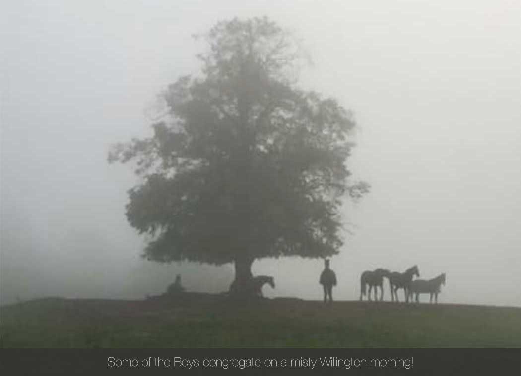 Willington Hall Riding Centre Opening How to Contact Some of the Boys congregate on a misty Willington morning