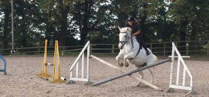 Willington Hall Riding Centre Openning Prices