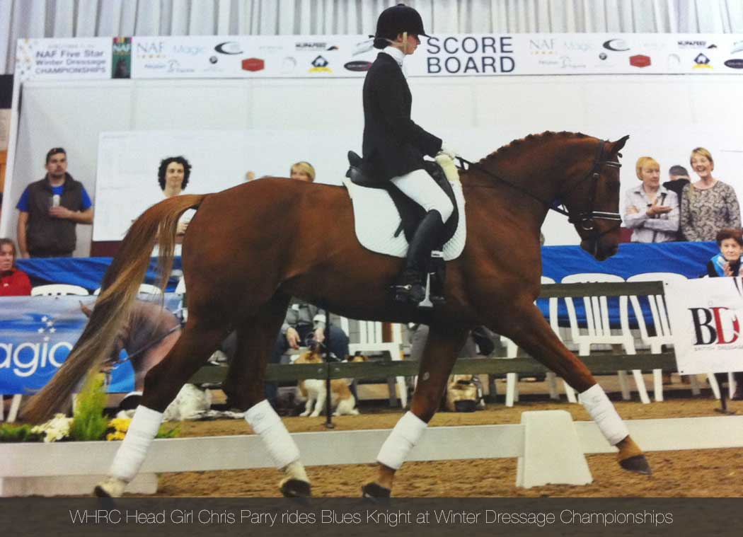 Willington Hall Riding Centre Opening Prices Lessons Hacks WHRC Head Girl Chris Parry rides Blues Knight at Winter Dressage Championships