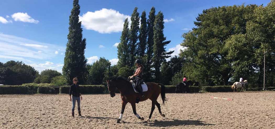 Willington Hall Riding School and Professional Competition Yard Cheshire